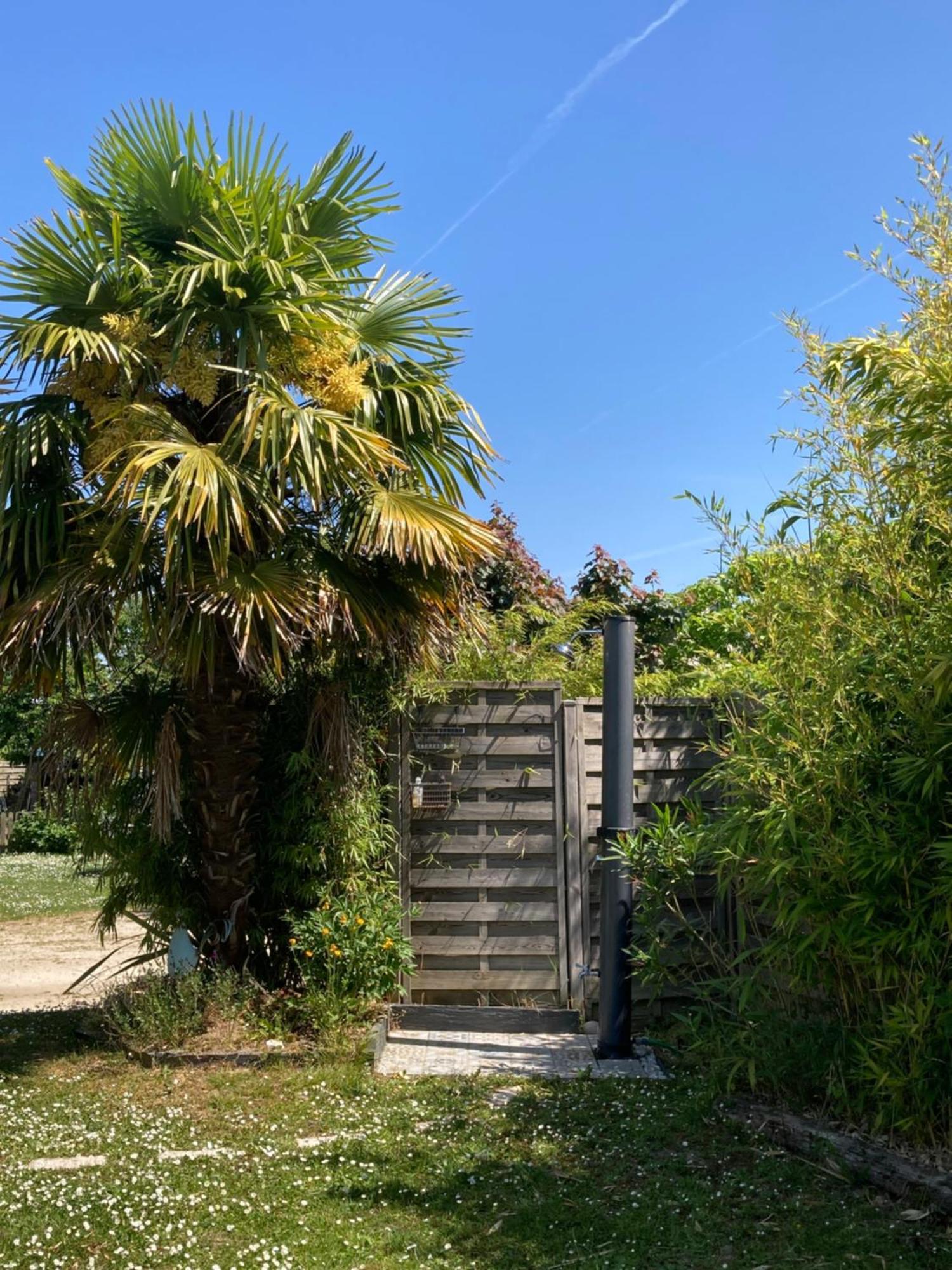 Le Chemin De La Loire Amboise Exterior foto
